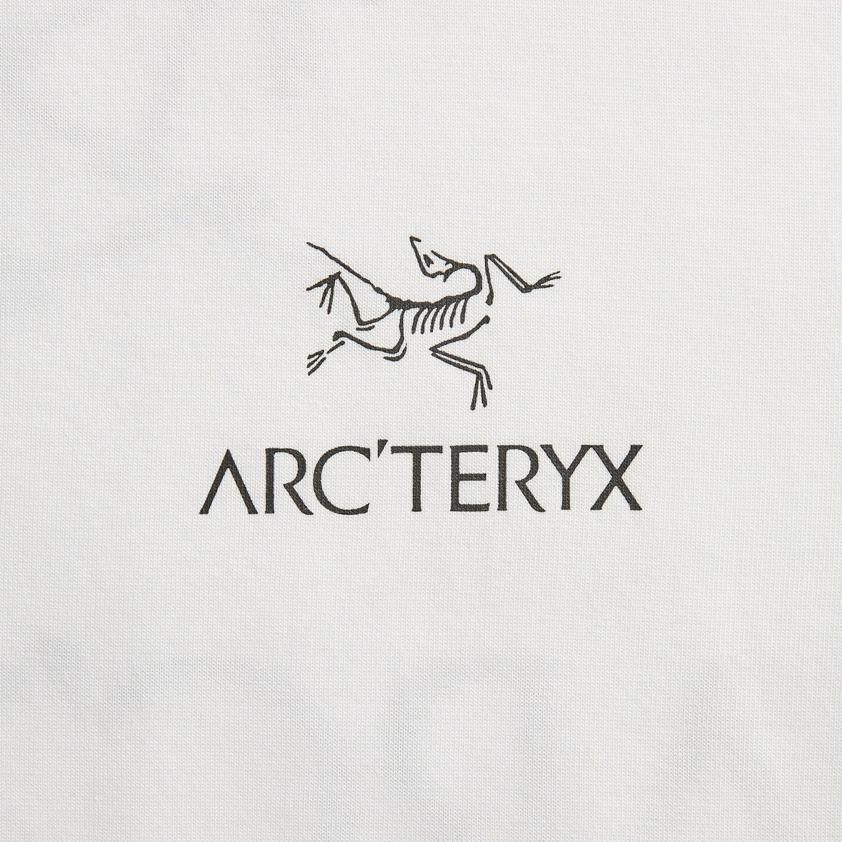 Arc'teryx Kragg SL Cotton Bird Word Short Sleeve Tee - White Light / Black