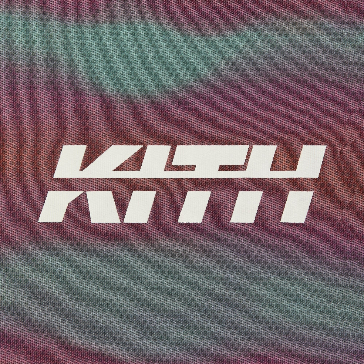 Kith Kids Printed Leonard Tee - Virtue - PH