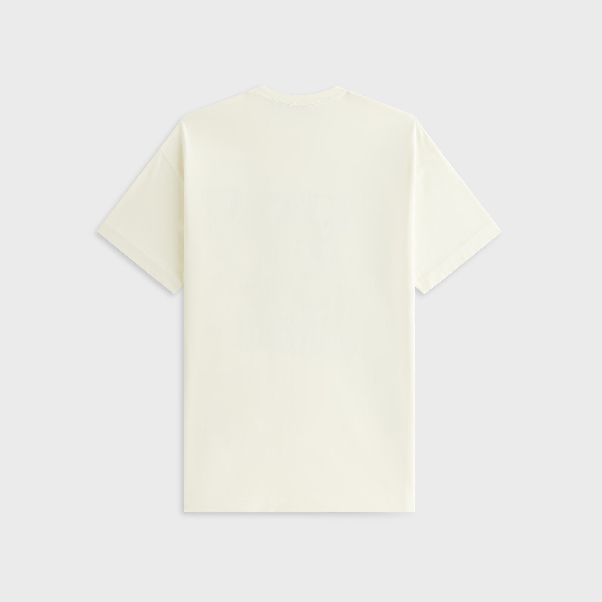 Kith Women Bird of Prey Vintage Tee - Silk