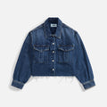 Agolde NYX Denim Shirt - Pathway