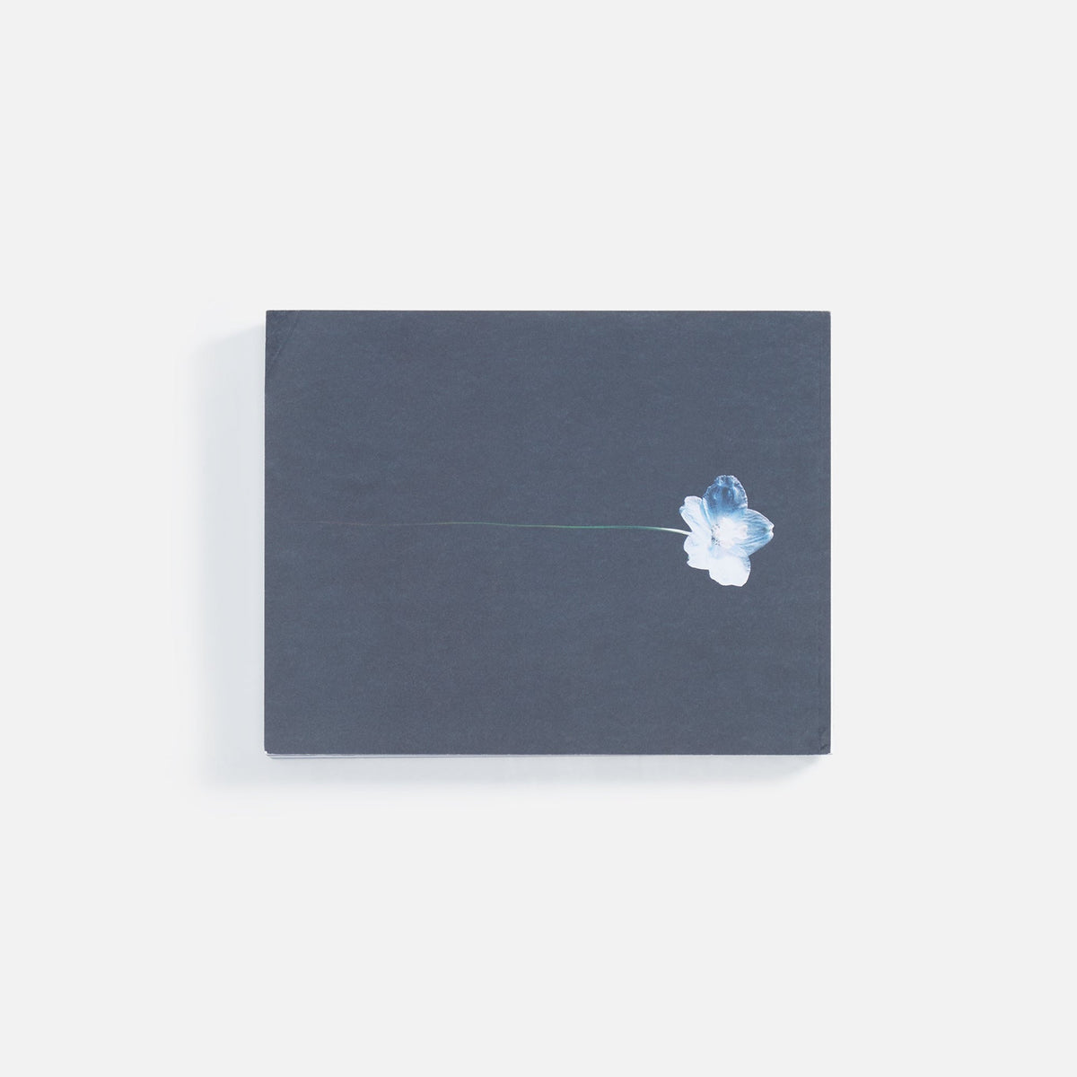 WhiteCirc Le Mile Issue 35 - Autumn / Winter 2023