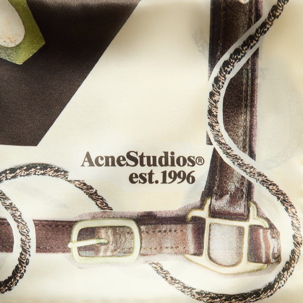 Acne Studios Printed Silk Scarf - Brown / White