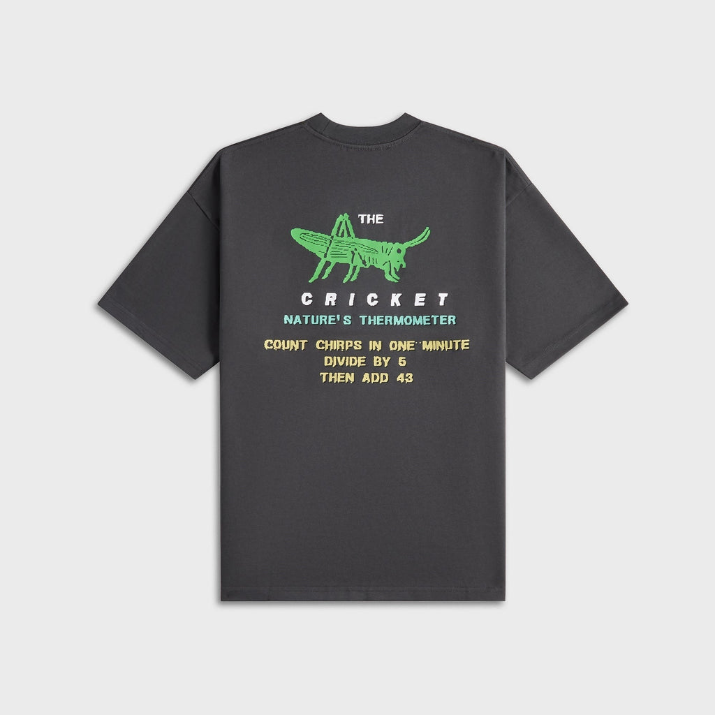 Metalwood Cricket Heavy Pocket Tee - Tar