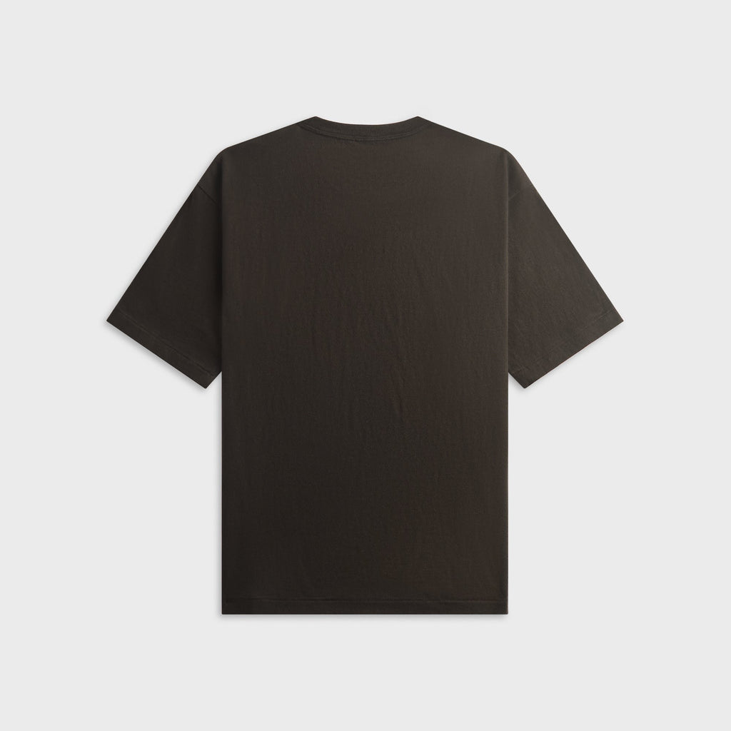 Auralee Brushed Organic Cotton Jersey Tee - Ink Black