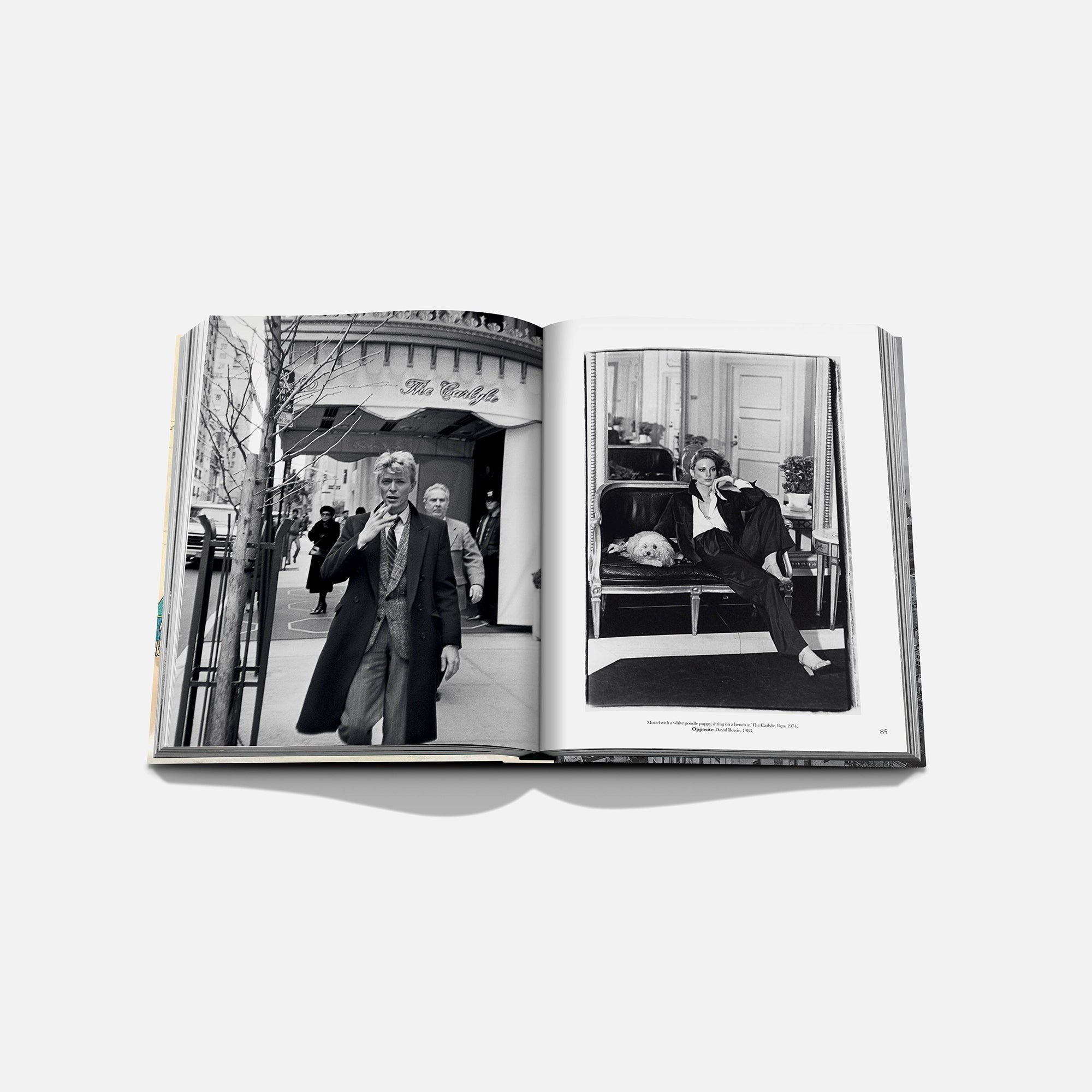 Assouline The Carlyle Hardcover Book - Beige