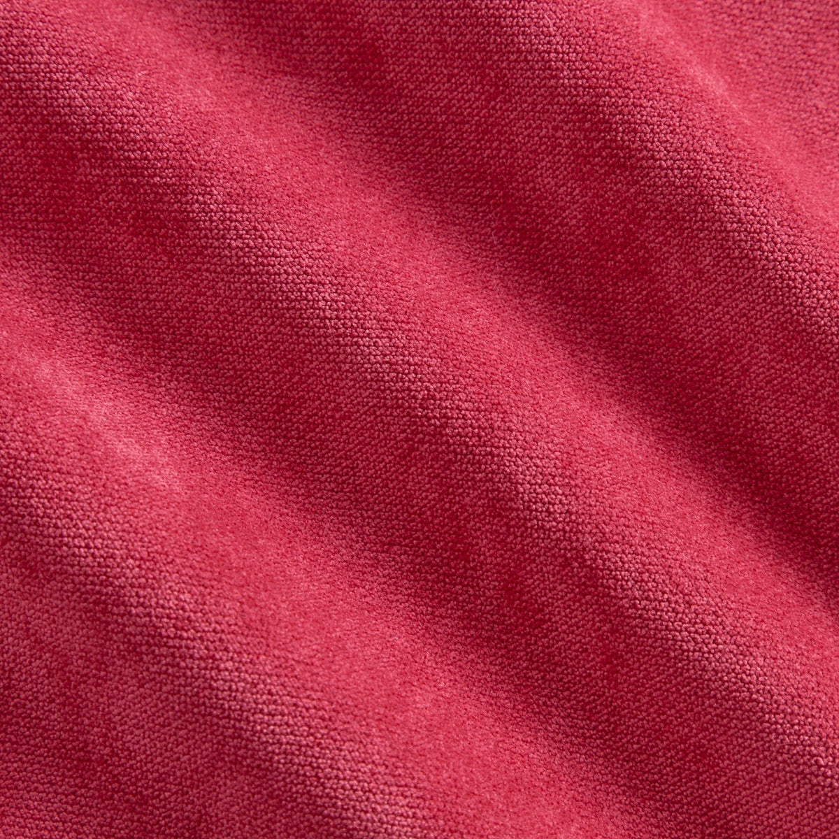 Kith & the NFL for the Tampa Bay Buccaneers Leon Shirt - Fame