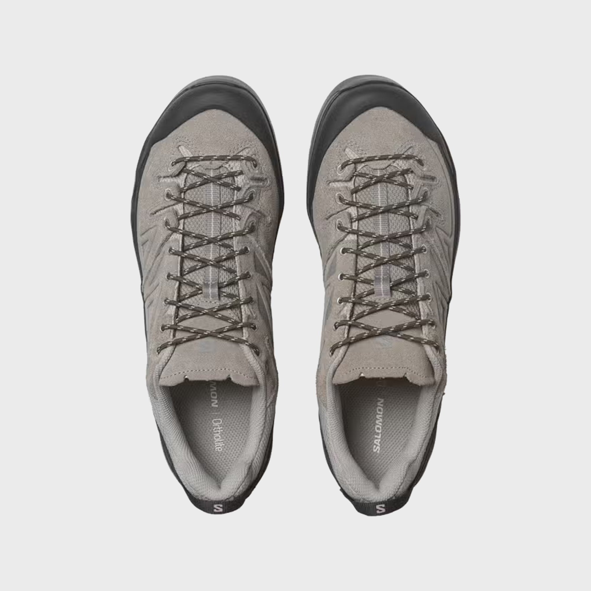 Salomon X-ALP LTR - Cloudburst / Paloma / Black