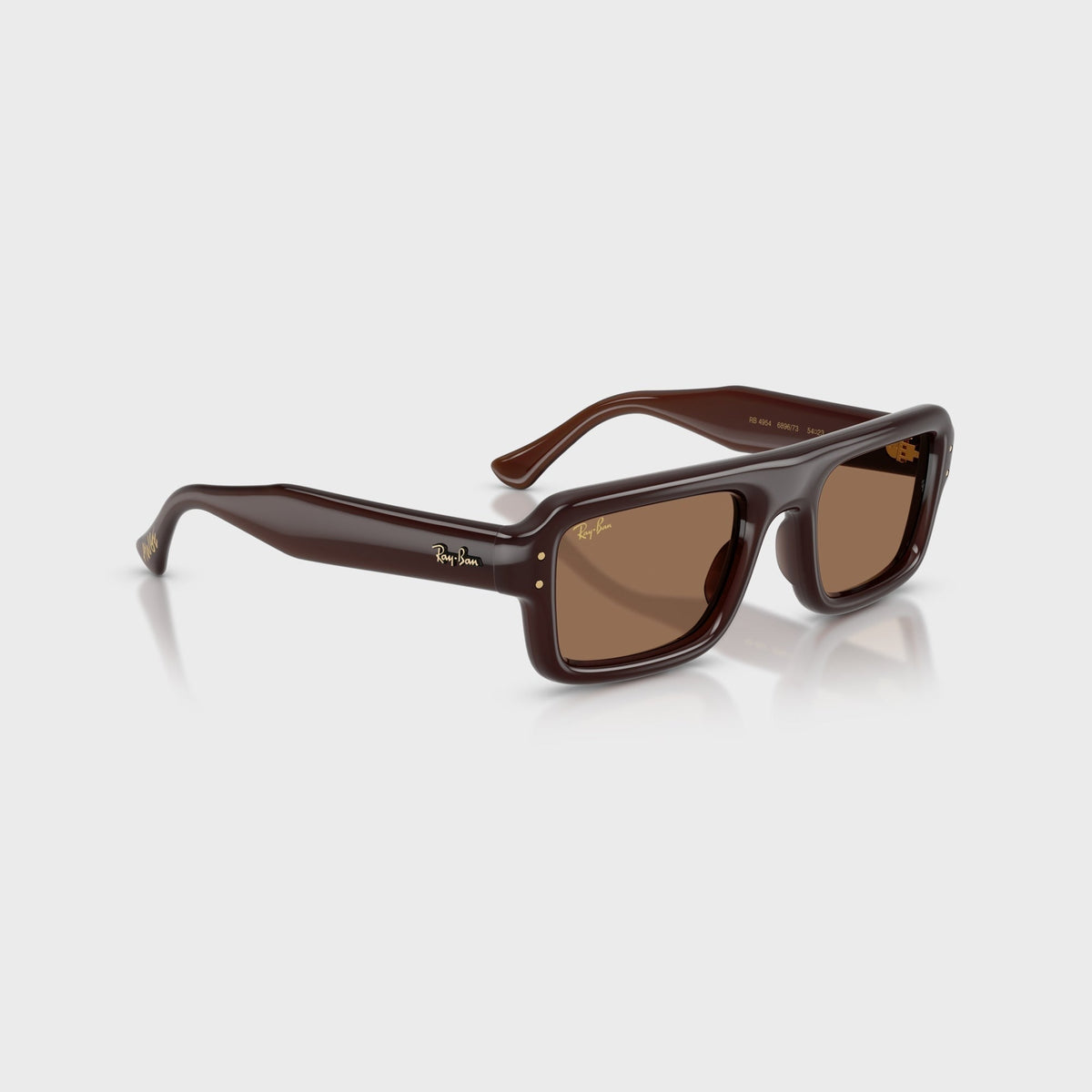Ray-Ban x A$AP Rocky Flacko Puffer Sunglasses - Transparent Brown Frame / Brown Lens