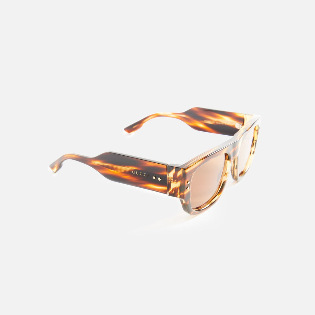 Gucci - Havana / Brown