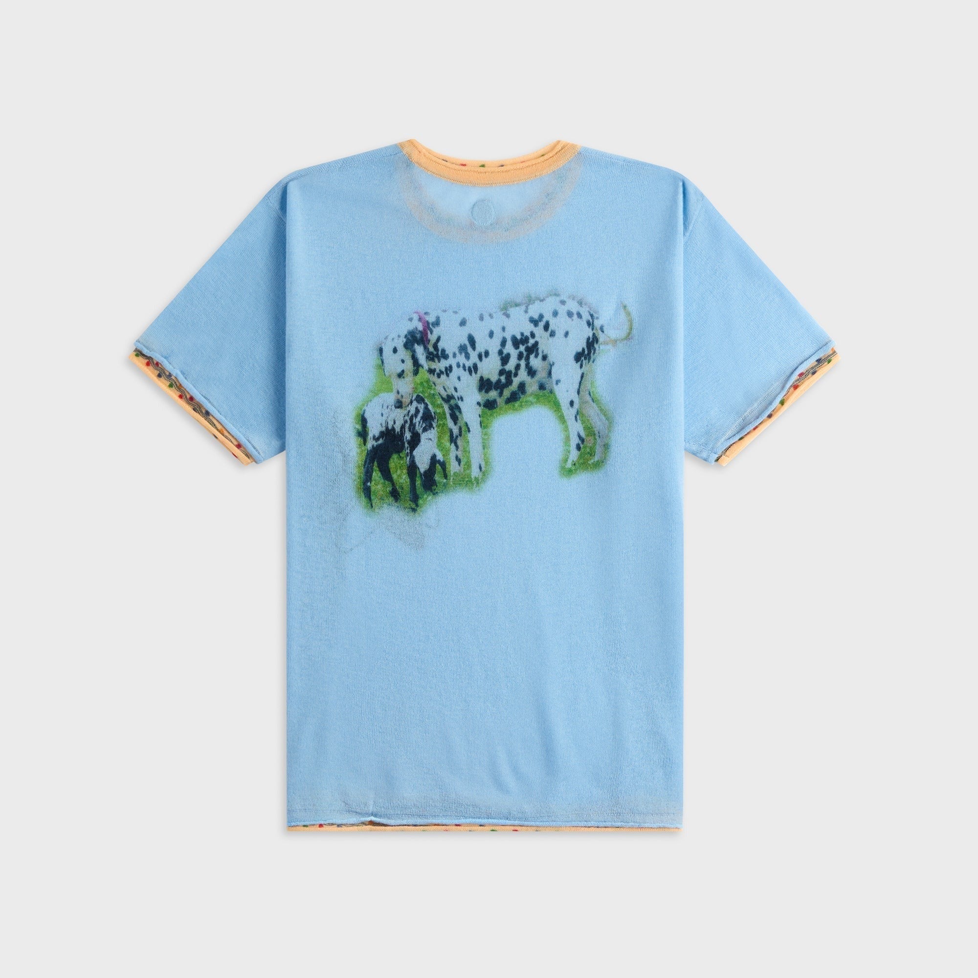 Adrian Cashmere Symbiosis Tee - Blue