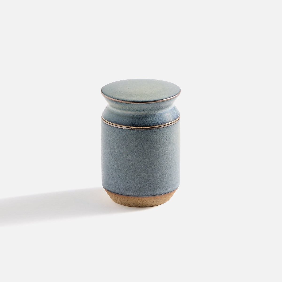 Houseplant Stash Jar by Seth - Midnight