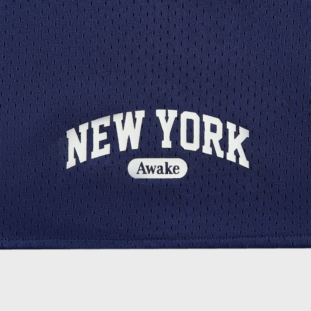 Awake NY Archway Basketball Shorts - Navy