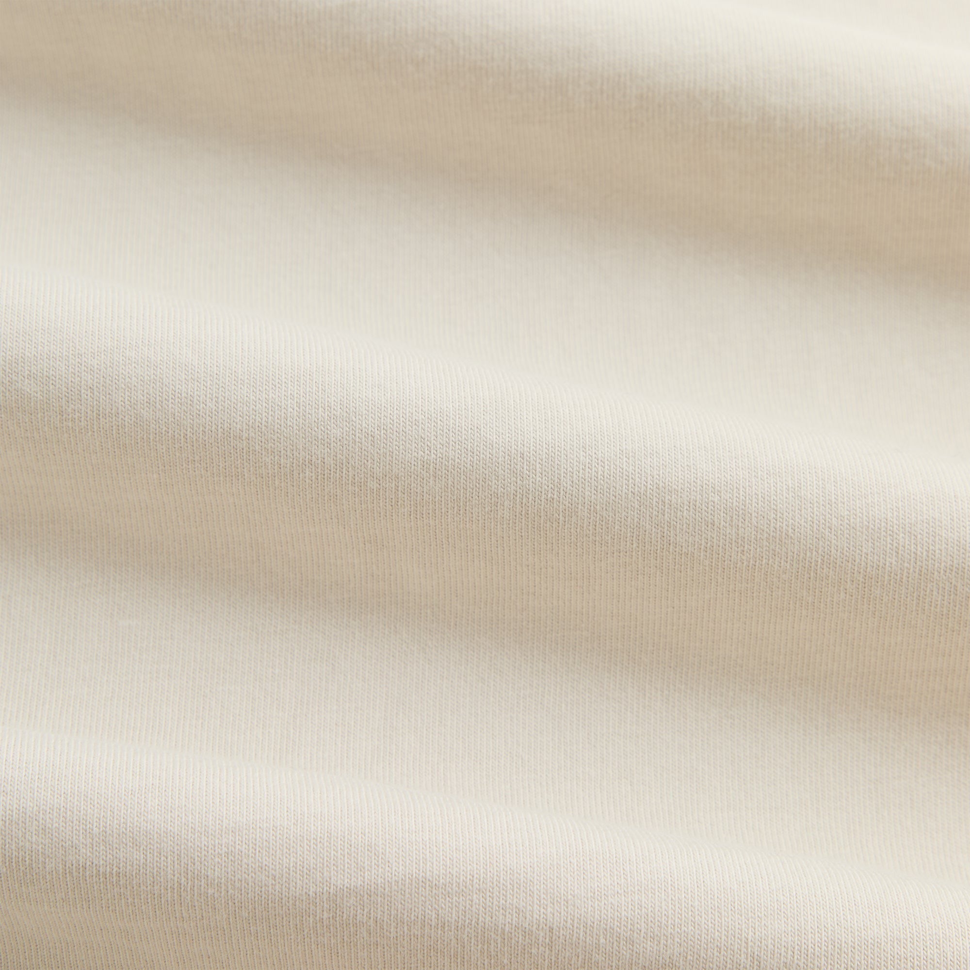 Kith Vintage Leonard Tee - Hallow