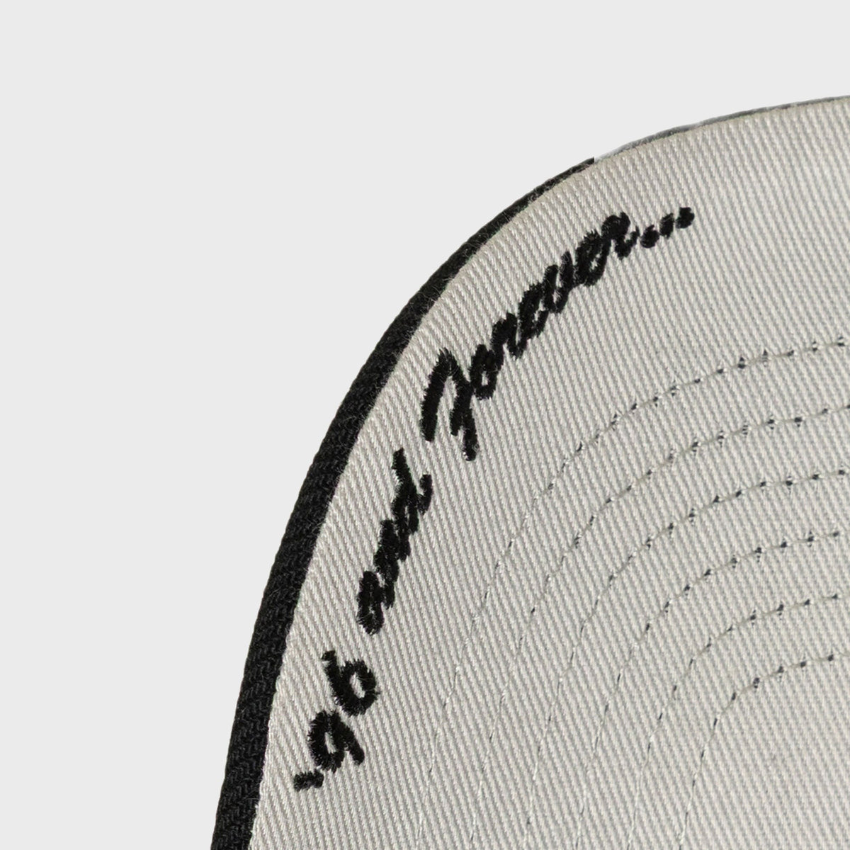 Mitchell & Ness x Jay-Z Reasonable Doubt x New York Yankees Pro Pinch Snapback Hat - Black